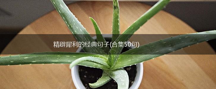 精辟犀利的经典句子(合集50句),第1张