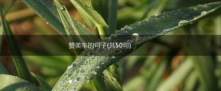 赞美车的句子(共50句),第1张