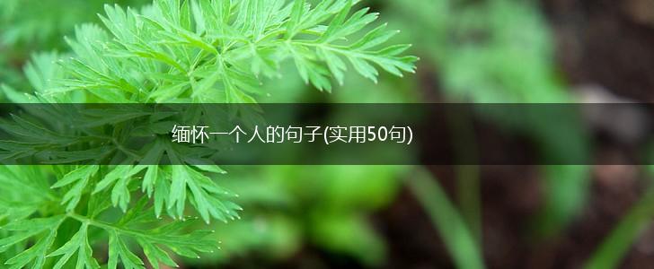 缅怀一个人的句子(实用50句),第1张