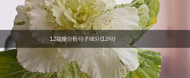 12星座分析句子成分(12句),第1张