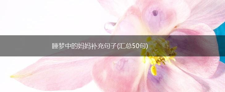 睡梦中的妈妈补充句子(汇总50句),第1张