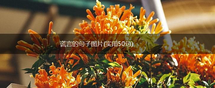 谎言的句子图片(实用50句),第1张