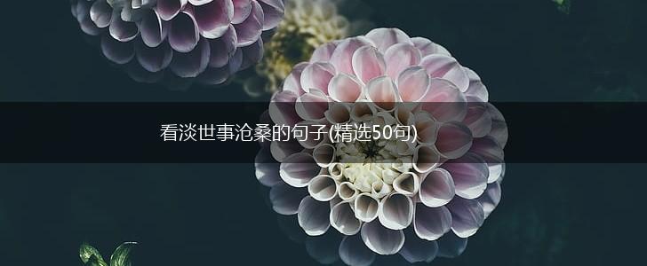 看淡世事沧桑的句子(精选50句),第1张