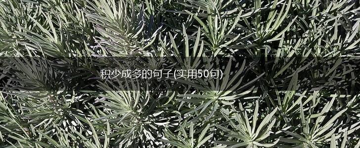 积少成多的句子(实用50句),第1张