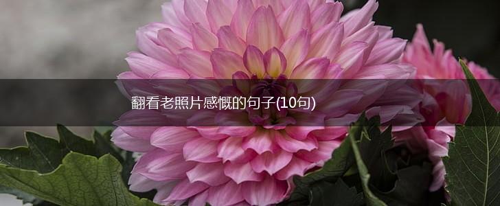 翻看老照片感慨的句子(10句),第1张