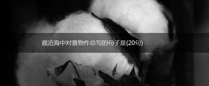 观沧海中对景物作总写的句子是(20句),第1张