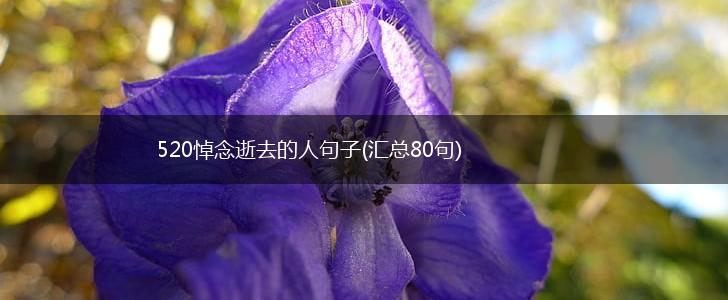 520悼念逝去的人句子(汇总80句),第1张