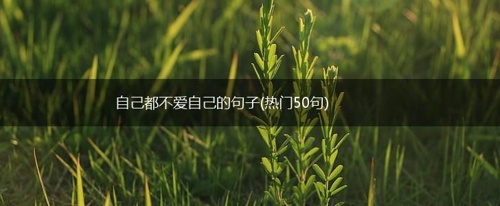 自己都不爱自己的句子(热门50句),第1张