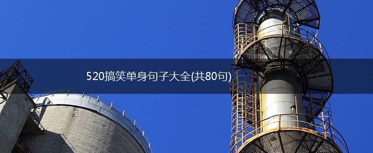 520搞笑单身句子大全(共80句),第1张