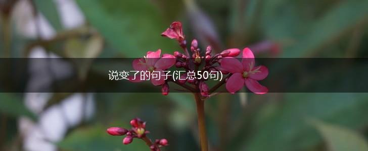 说变了的句子(汇总50句),第1张