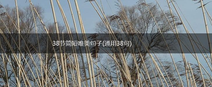 38节简短唯美句子(通用38句),第1张