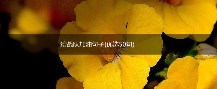 给战队加油句子(优选50句),第1张