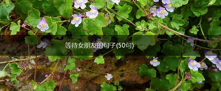 等待女朋友的句子(50句),第1张
