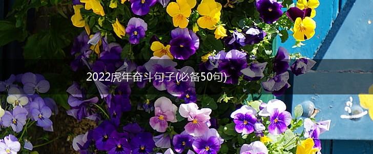 2022虎年奋斗句子(必备50句),第1张