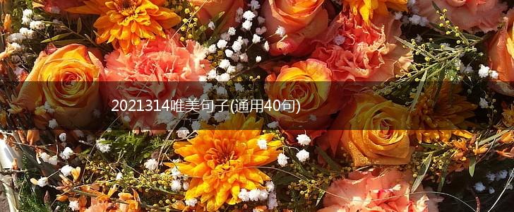 2021314唯美句子(通用40句),第1张