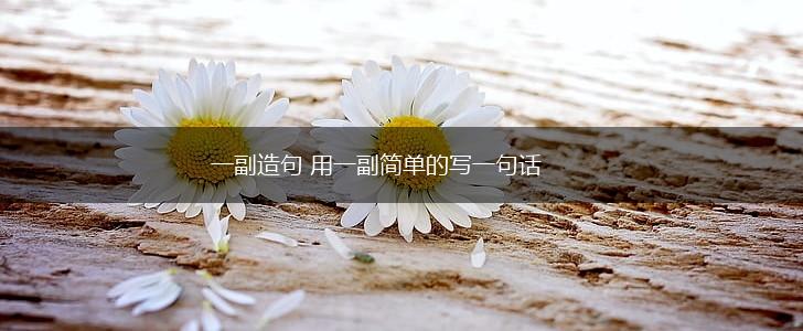 一副造句 用一副简单的写一句话,第1张