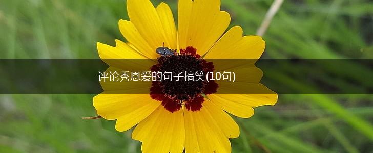 评论秀恩爱的句子搞笑(10句),第1张