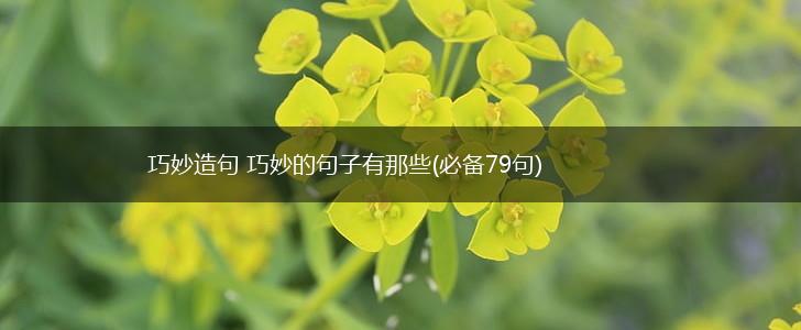巧妙造句 巧妙的句子有那些(必备79句),第1张