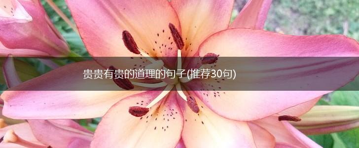 贵贵有贵的道理的句子(推荐30句),第1张