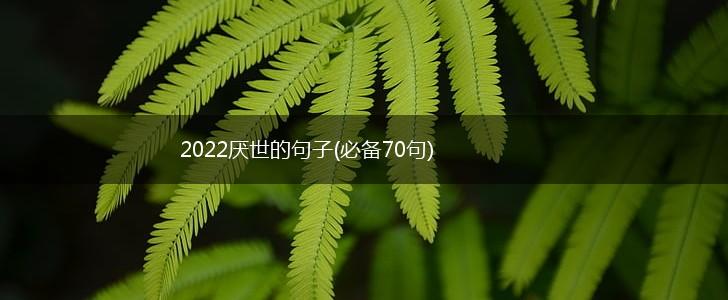 2022厌世的句子(必备70句),第1张