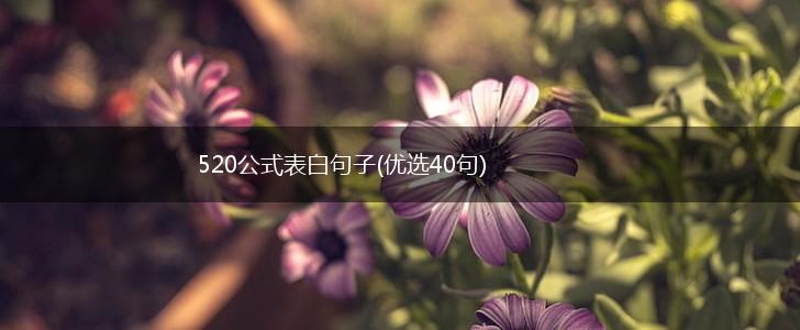 520公式表白句子(优选40句),第1张