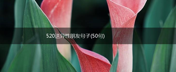 520送异性朋友句子(50句),第1张