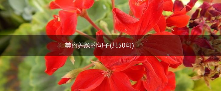 美容养颜的句子(共50句),第1张