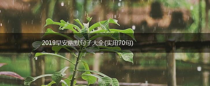 2019早安幽默句子大全(实用70句),第1张