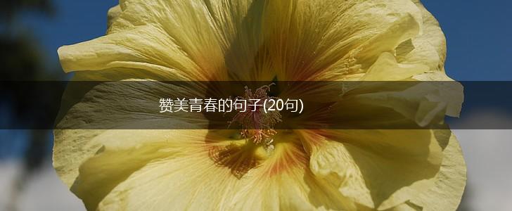 赞美青春的句子(20句),第1张