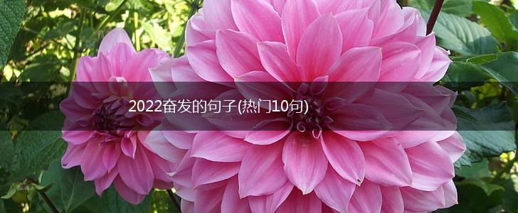 2022奋发的句子(热门10句),第1张