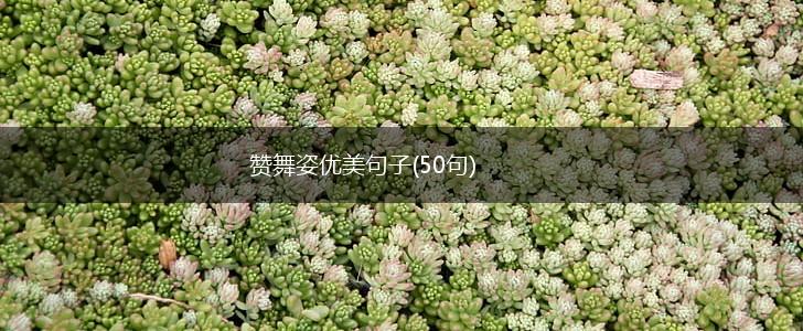 赞舞姿优美句子(50句),第1张