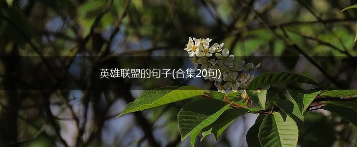 英雄联盟的句子(合集20句),第1张