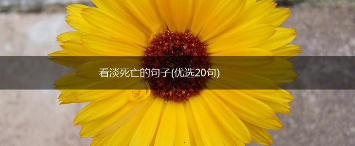 看淡死亡的句子(优选20句),第1张