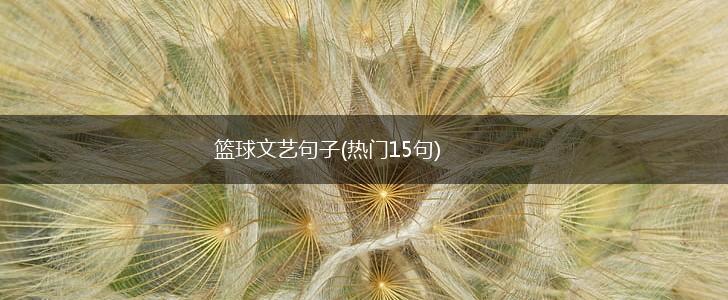 篮球文艺句子(热门15句),第1张