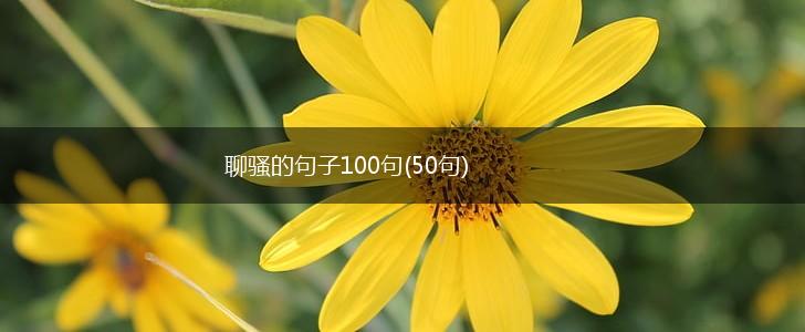 聊骚的句子100句(50句),第1张