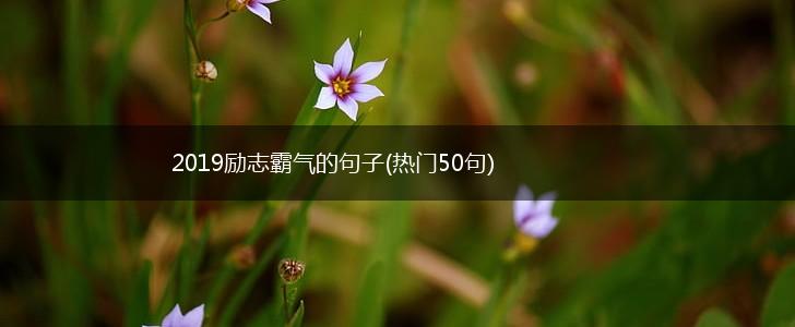 2019励志霸气的句子(热门50句),第1张