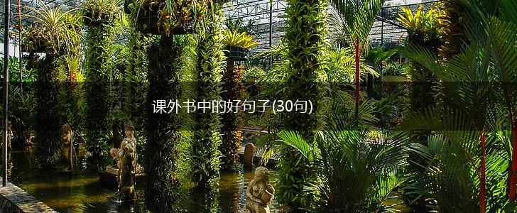 课外书中的好句子(30句),第1张