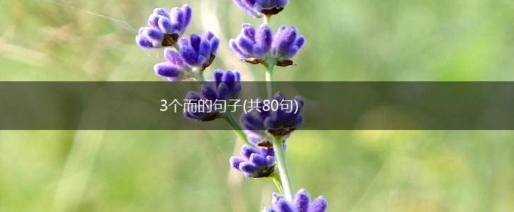 3个而的句子(共80句),第1张