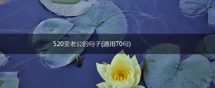 520至老公的句子(通用70句),第1张