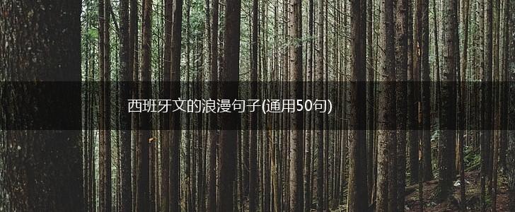 西班牙文的浪漫句子(通用50句),第1张