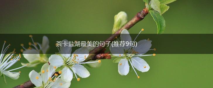茶卡盐湖最美的句子(推荐9句),第1张