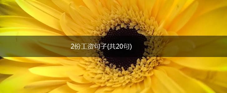 2份工资句子(共20句),第1张