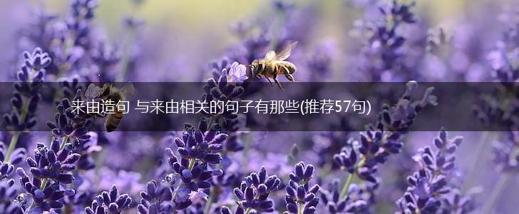 来由造句 与来由相关的句子有那些(推荐57句),第1张