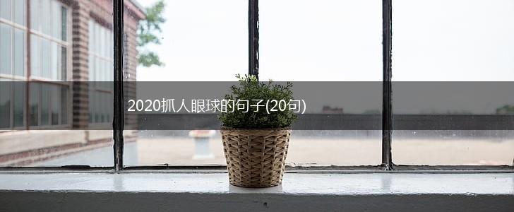2020抓人眼球的句子(20句),第1张
