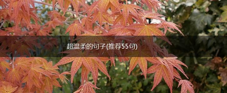 超温柔的句子(推荐55句),第1张