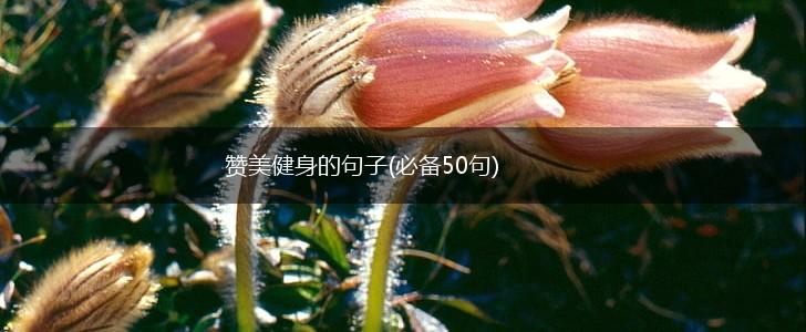 赞美健身的句子(必备50句),第1张