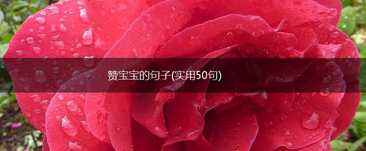 赞宝宝的句子(实用50句),第1张