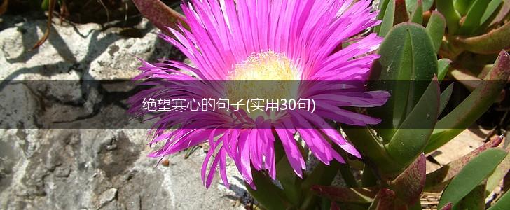 绝望寒心的句子(实用30句),第1张