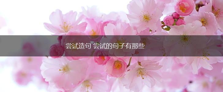 尝试造句 尝试的句子有那些,第1张