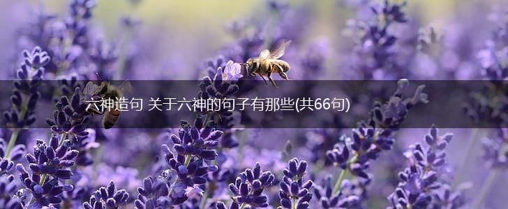 六神造句 关于六神的句子有那些(共66句),第1张